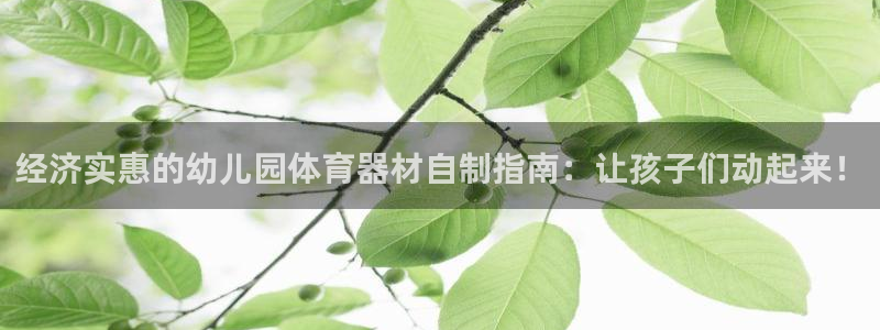 耀世娱乐网站下载：经济实惠的幼儿园体育器材自制指南：
