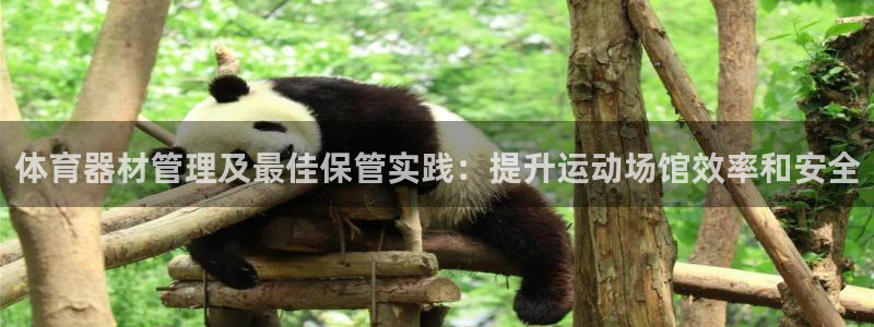 耀世平台乙六七五一38：体育器材管理及最佳保管实践：