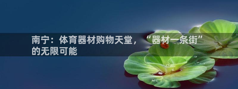 耀世开盘：南宁：体育器材购物天堂，“器材一条街”
的