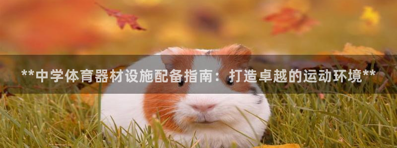 耀世官网：**中学体育器材设施配备指南：打造卓越的运