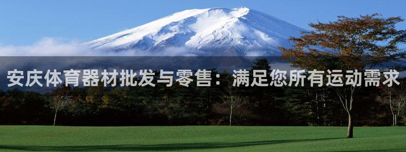 耀世集团视频介绍大全：安庆体育器材批发与零售：满足您