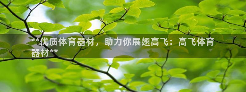 耀世是什么游戏里的人物：**优质体育器材，助力你展翅