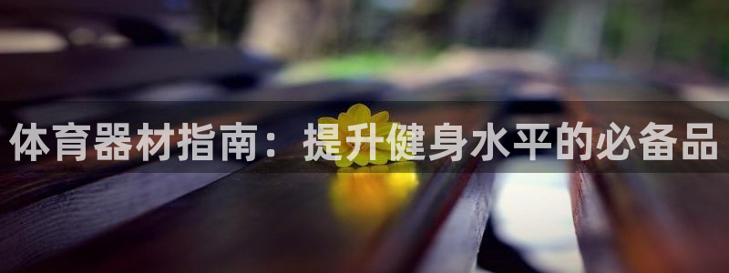 耀世天下的图片：体育器材指南：提升健身水平的必备品