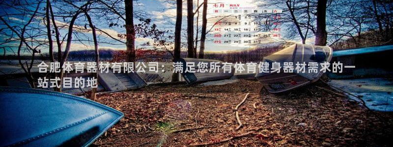 耀世集团：合肥体育器材有限公司：满足您所有体育健身器