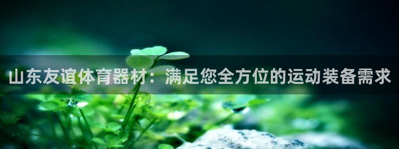 耀世娱乐登录地址在哪查：山东友谊体育器材：满足您全方