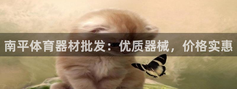 耀世国际平台正规吗可靠吗可信吗：南平体育器材批发：优