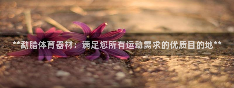 耀世集团董事长耀阳：**勐腊体育器材：满足您所有运动