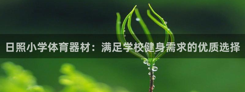 耀世平台升 411O31 耀世：日照小学体育器材：满