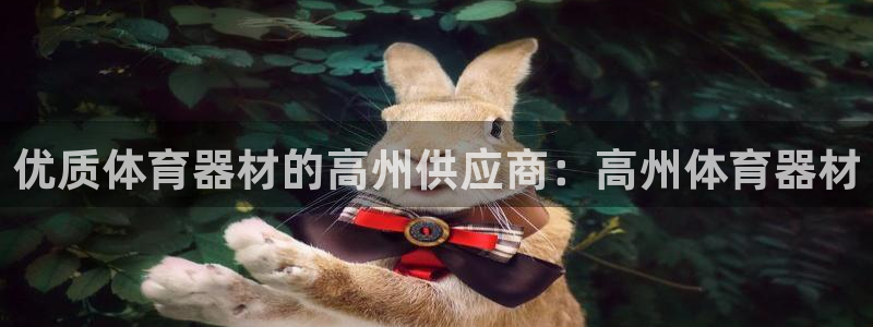 耀世圣主：优质体育器材的高州供应商：高州体育器材