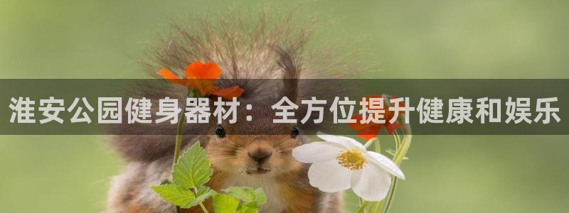 耀世平台注册登录不上：淮安公园健身器材：全方位提升健