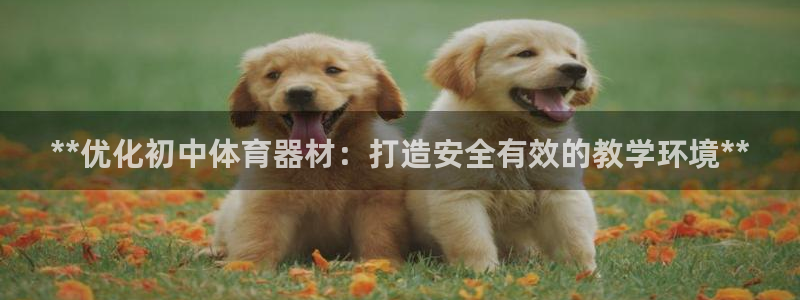 耀世平台客服24小时在线咨询：**优化初中体育器材：