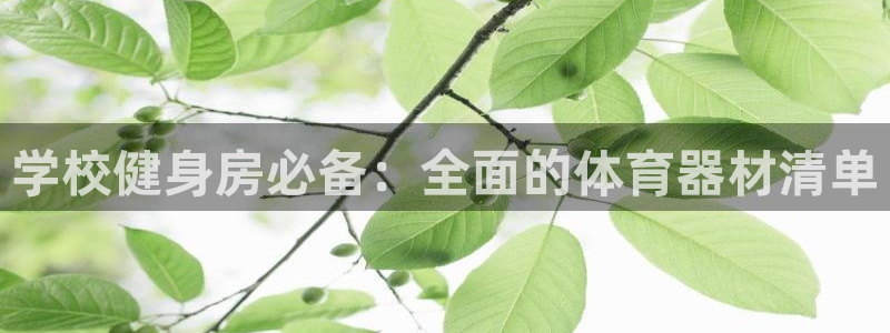 耀世集团：学校健身房必备：全面的体育器材清单