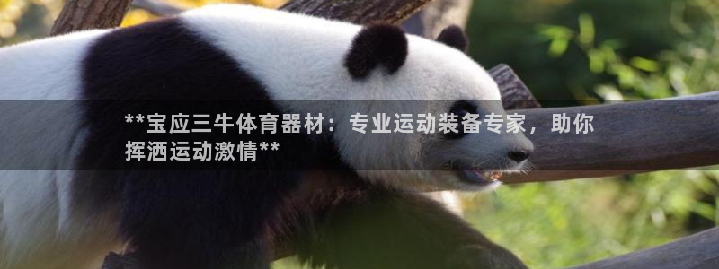 耀世娱乐平台注册地址在哪里查：**宝应三牛体育器材：