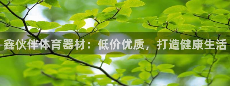 耀世集团视频介绍大全：鑫伙伴体育器材：低价优质，打造