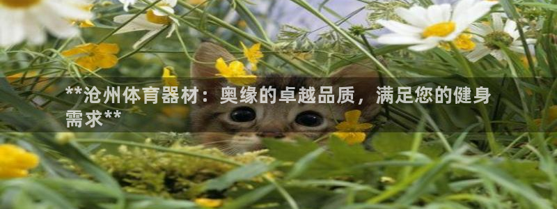 耀世平台信 585341 平台：**沧州体育器材：奥