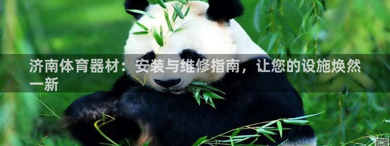 耀世娱乐怎么注册不了：济南体育器材：安装与维修指南，