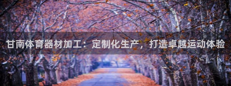 耀世娱乐app下载安装：甘南体育器材加工：定制化生产