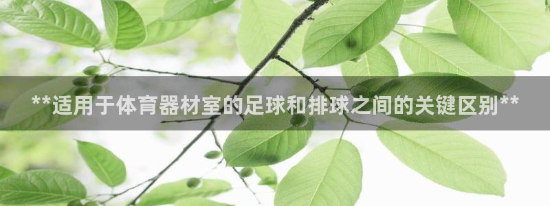 耀世娱乐下载链接安装：**适用于体育器材室的足球和排