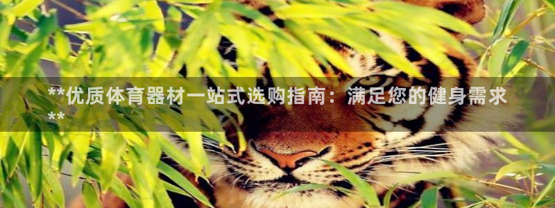 耀世平台注册开户要求：**优质体育器材一站式选购指南