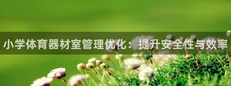 耀世娱乐提款多久到账户：小学体育器材室管理优化：提升