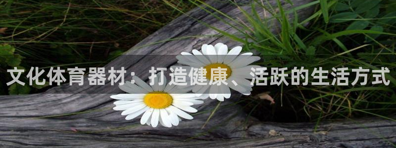 耀世娱乐登陆官网：文化体育器材：打造健康、活跃的生活