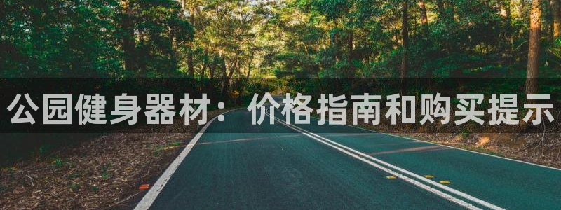 耀世娱乐是正规还是仿真：公园健身器材：价格指南和购买