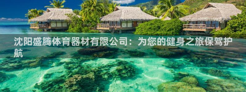 耀世集团是什么电影：沈阳盛腾体育器材有限公司：为您的