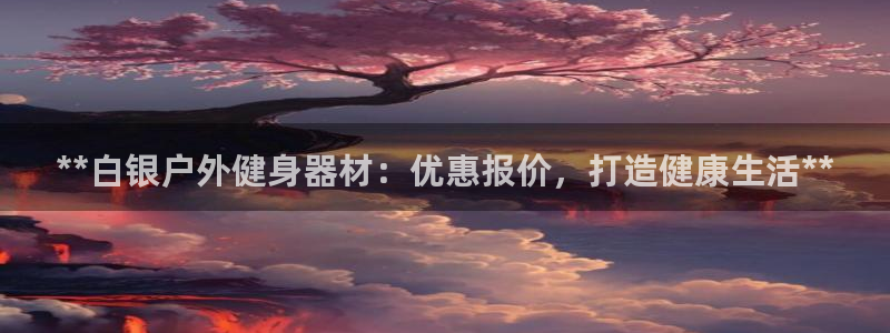 耀世盛典手游：**白银户外健身器材：优惠报价，打造健