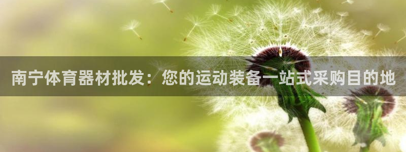 耀世盛典官网下载：南宁体育器材批发：您的运动装备一站