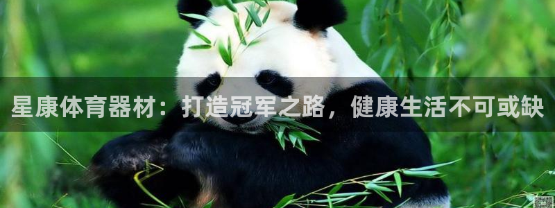 耀世平台先 58534I 耀世：星康体育器材：打造冠
