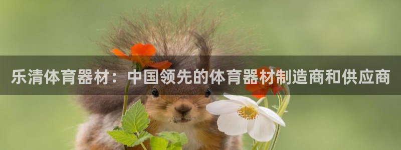 耀世集团商业联盟罗文斌：乐清体育器材：中国领先的体育