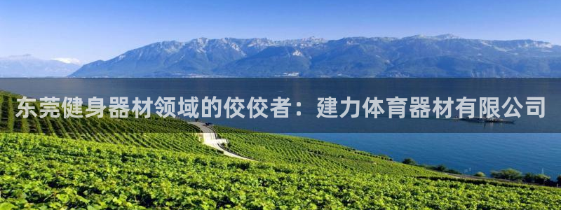 耀世国际平台正规吗安全吗：东莞健身器材领域的佼佼者：