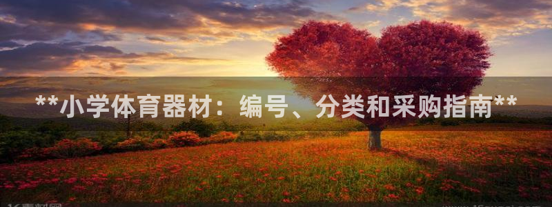 耀世娱乐能提现吗现在多少钱：**小学体育器材：编号、