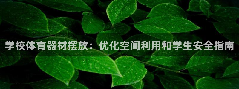 耀世的意思是什么：学校体育器材摆放：优化空间利用和学