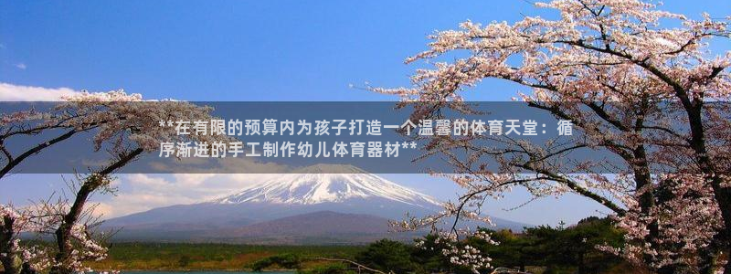耀世平台必7O777：**在有限的预算内为孩子打造一
