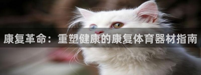 耀世娱乐怎么样：康复革命：重塑健康的康复体育器材指南