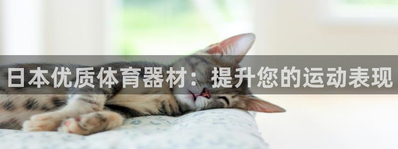 耀世开放什么意思：日本优质体育器材：提升您的运动表现