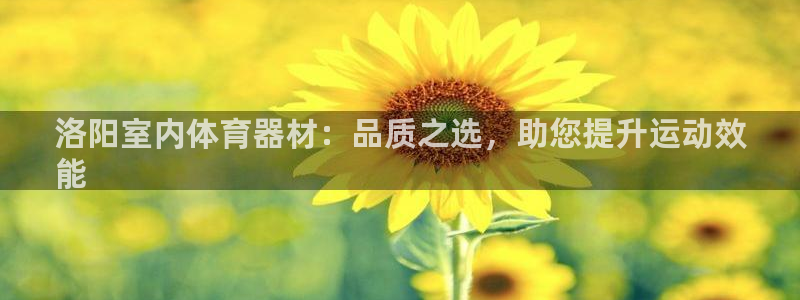 耀世出行：洛阳室内体育器材：品质之选，助您提升运动效