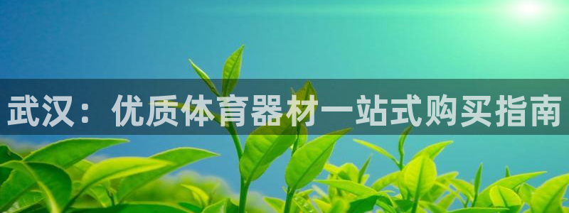耀世娱乐是不是赚钱了：武汉：优质体育器材一站式购买指