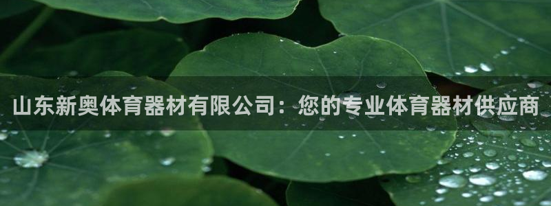 耀世集团是干嘛的：山东新奥体育器材有限公司：您的专业