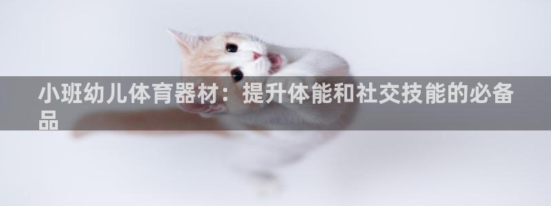 耀世娱乐百科：小班幼儿体育器材：提升体能和社交技能的