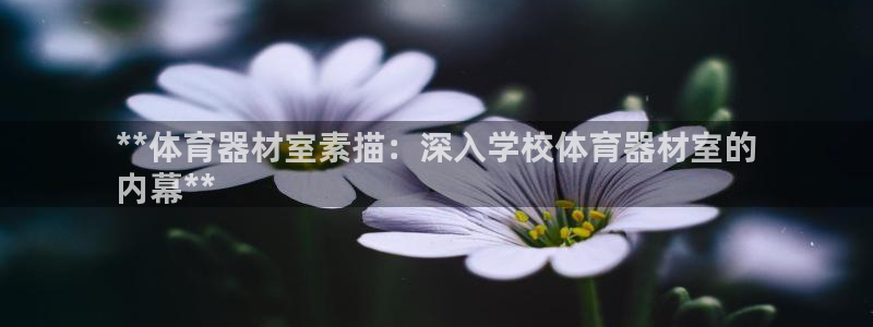 耀世娱乐如何登录账号啊：**体育器材室素描：深入学校