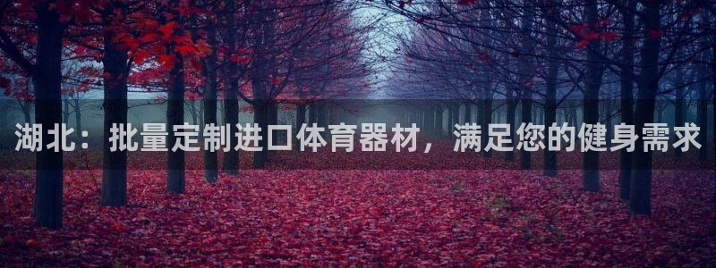 耀世令有什么用：湖北：批量定制进口体育器材，满足您的