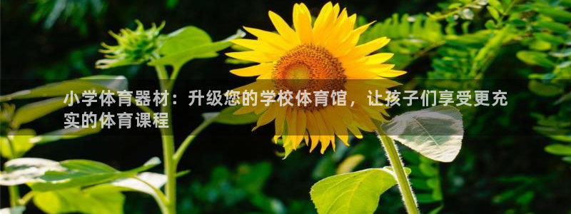 耀世娱乐代理什么待遇可以做：小学体育器材：升级您的学