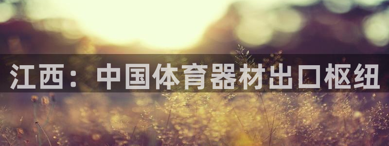 耀世盛典手游下载安装：江西：中国体育器材出口枢纽
