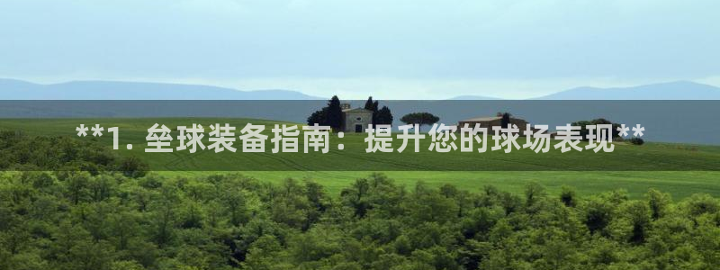 耀世平台会员中心怎么进：**1. 垒球装备指南：提升