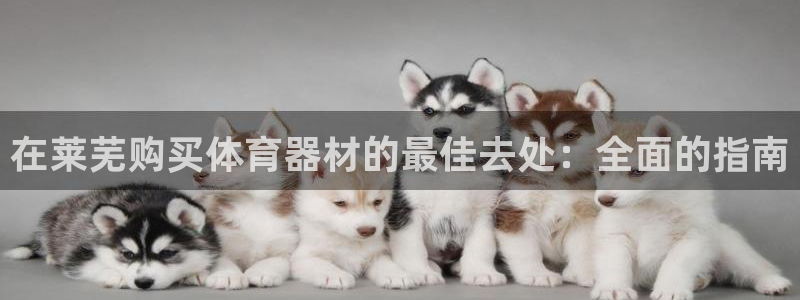 耀世娱乐平台官网：在莱芜购买体育器材的最佳去处：全面