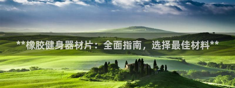 耀世平台找 5O6917 平台：**橡胶健身器材片：