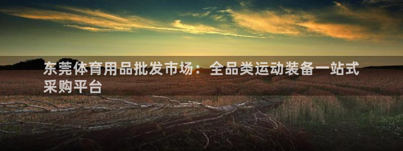 耀世娱乐提款多久到账：东莞体育用品批发市场：全品类运