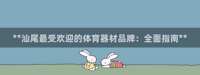 耀世娱乐违法吗：**汕尾最受欢迎的体育器材品牌：全面